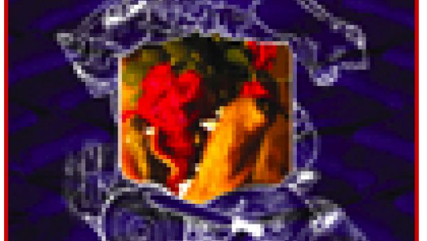 Matmos, ‘Roses & teeth for Ludwig Wittgenstein’