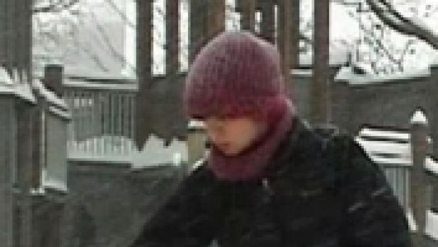 Non c’è stato l’inverno, consoliamoci con un video