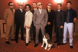 Boogaloo, il nuovo album di Giuliano Palma