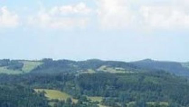 Scarica gratis “Hai bucato la mia vita” di Celentano
