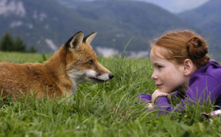 La volpe e la bambina (Le renard et l’enfant)