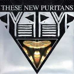 These New Puritans: gran rock d’esportazione UK