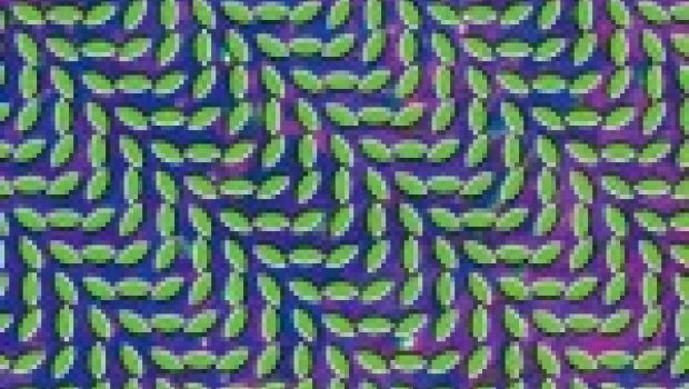 Con “Merriweather Post Pavilion” gli Animal Collective fanno centro