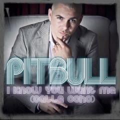 Pitbull: il nuovo tormentone estivo si chiama “I Know You Want Me (Calle Ocho)”