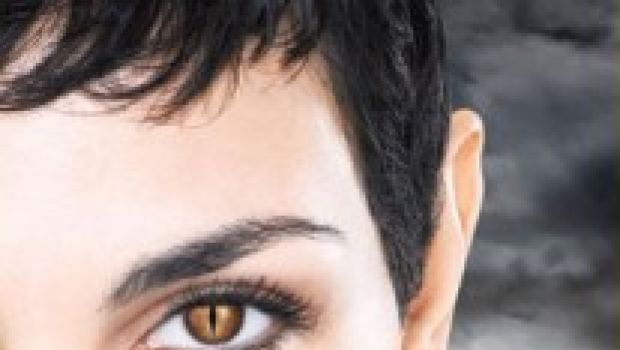 V, il remake dei Visitors, su Joi di Mediaset Premium dalla primavera del 2010