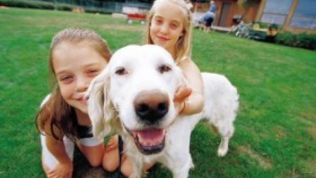 DeaKids ricerca bambini che sognino un cagnolino per Missione Cuccioli