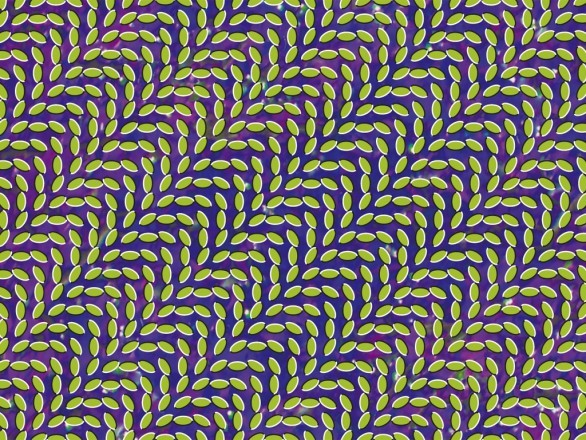 Animal Collective: ecco il trailer del film