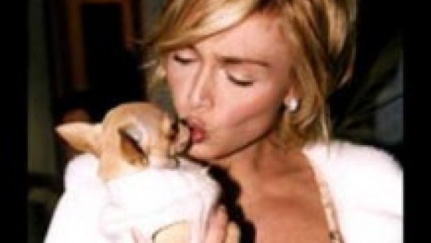 I Love my Dog, giovedì alle 21.10 su Italia1. Conduce Rossella Brescia. In giuria Alba Parietti, Paola Barale e Andrew Howe