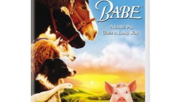 Il cinema ama gli animali: foto e trailer di Babe Maialino Coraggioso