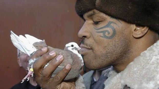 Mike Tyson star per Animal Planet in un reality show sui piccioni