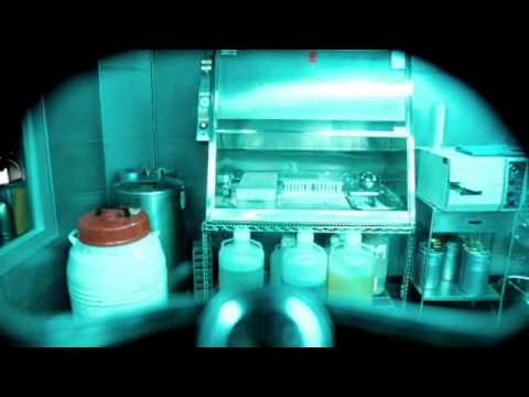 Splice Trailer http://teaser-trailer.com