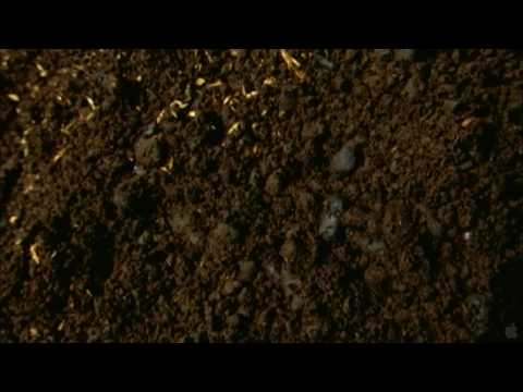 Beetle Queen Conquers Tokyo – Official Movie Trailer 2010 [HD]