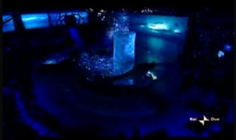 L’isola dei famosi 7 – Settima puntata del 7 aprile 2010. Eliminato Davide Di Porto