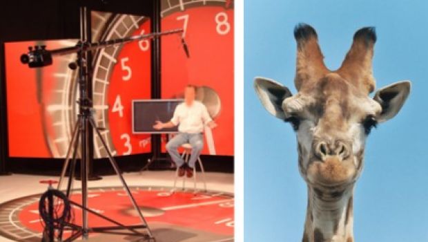 Cine-dizionario: la giraffa