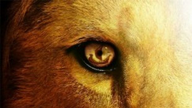 Primissimo poster per Narnia 3: Il Viaggio del Veliero in 3D