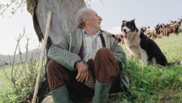 Le quattro volte: il regista Michelangelo Frammartino e il cane Vuk incontrano il pubblico di Milano