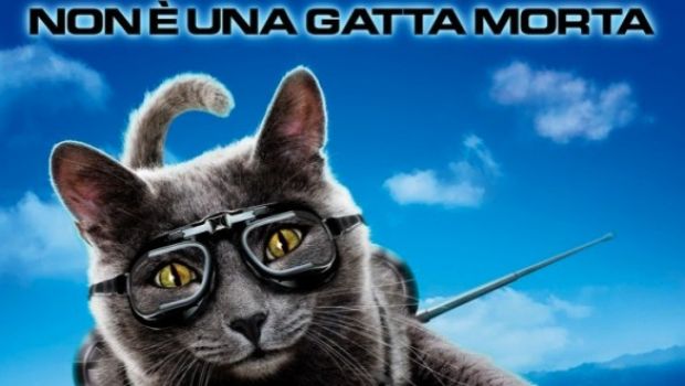 Cani e Gatti – La vendetta di Kitty: Tre Character Poster