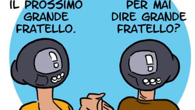 Provini