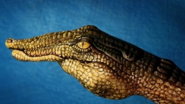Il CercaFilm: un coccodrillo in piscina