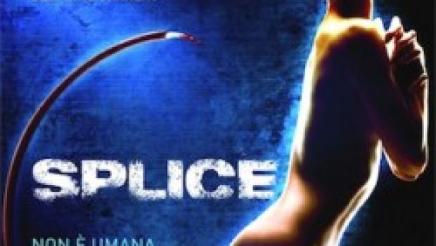 Splice: Recensione in Anteprima