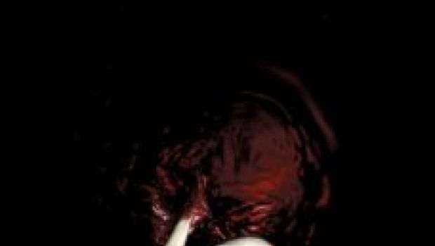 Let Me In: cupo poster inedito