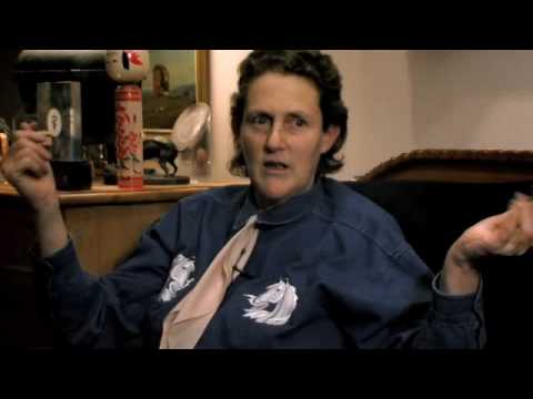 A Mothers Courage: Talking Back to Autism trailer