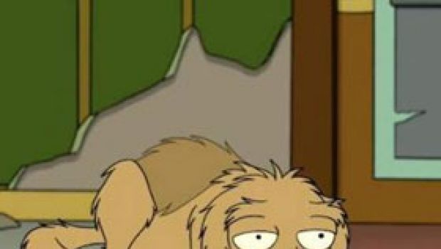 Futurama: la fine del cane Seymour