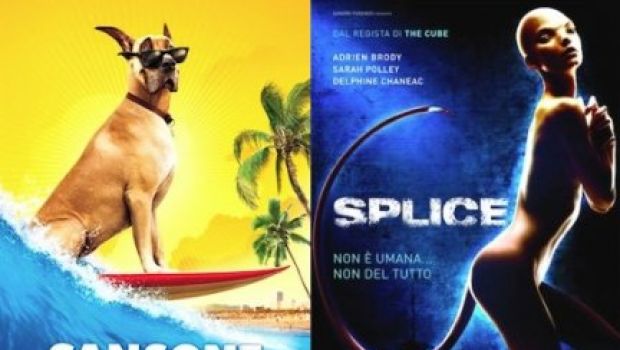 FantaBox Office Italia: Splice vs. Sansone, chi vince?