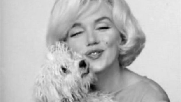Angelina Jolie sarà Marylin Monroe al cinema?