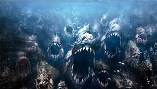 E’ Ufficiale: Piranha 3D avrà un sequel
