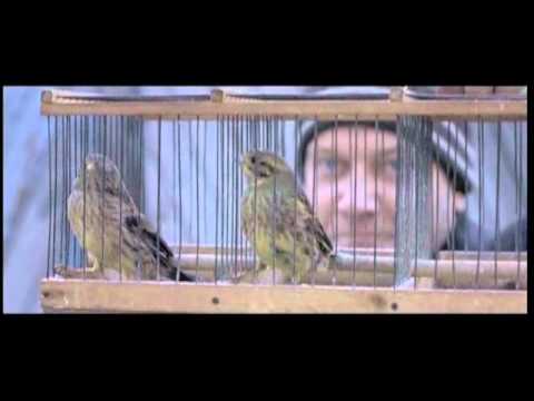 SILENT SOULS [trailer]. Pacific Meridian Film Festival 2010. Competition.