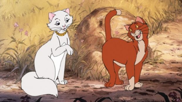 Film con i Gatti: i 10 preferiti di Cineblog