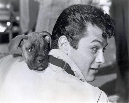 Cineblog saluta Tony Curtis con due scene di A qualcuno piace caldo