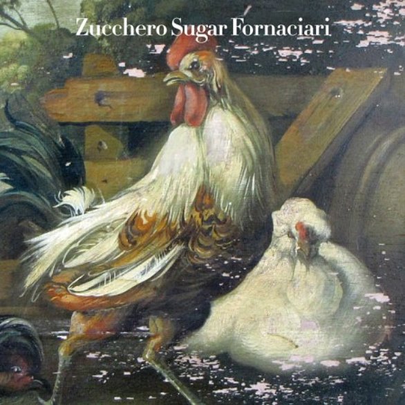 Zucchero ‘Sugar’ Fornaciari: in arrivo un nuovo album a novembre