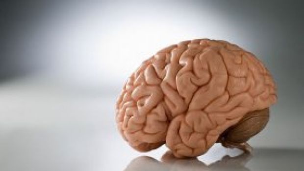 Il Cercafilm – Un trapianto di cervello
