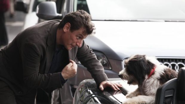 Stasera Un cane per due. Giorgio Tirabassi torna alla fiction con Carolina Crescentini