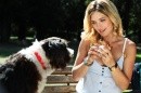 Ascolti Tv Giovedì 23 dicembre 2010: Un cane per due vince con 4,6 mln (19%) e batte Superquark (15%). Solo per Amore a 2 mln (8%), cresce Focus Uno (10%). Bene Iris con Out of Sight e La5 con Peter Pan on the road