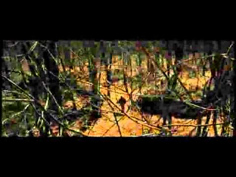 Shelter – IdentitÃ  paranormali – Trailer italiano