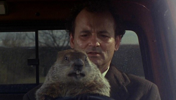 Ricomincio da capo: 10 curiosità che (forse) non sapevate sul film con Bill Murray