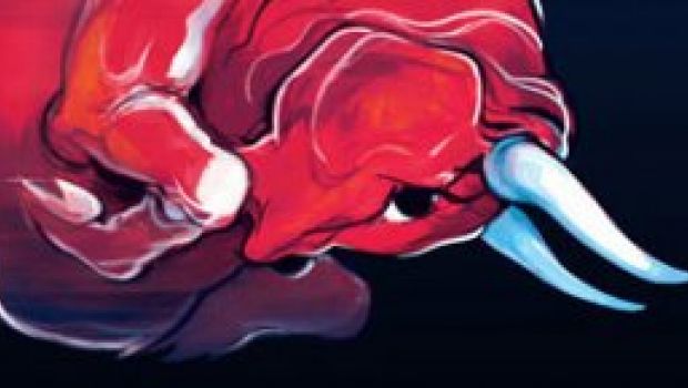Il CercaFilm – Il toro rosso