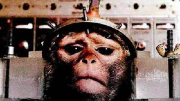 Il CercaFilm: Il “dottore psicotico” che conduce esperimenti sugli animali
