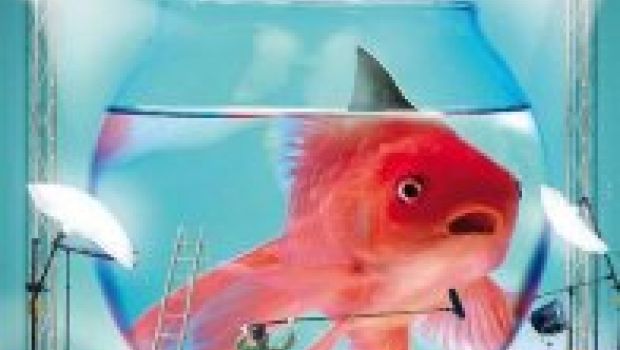 Boris-Il film, al cinema da venerdì. Gli autori: “No ad una quarta stagione della serie”
