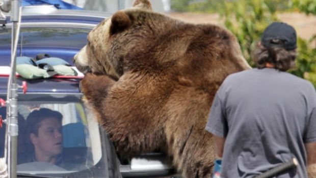 We Bought A Zoo – Matt Damon fotografato sul set in compagnia di …un grizzly!