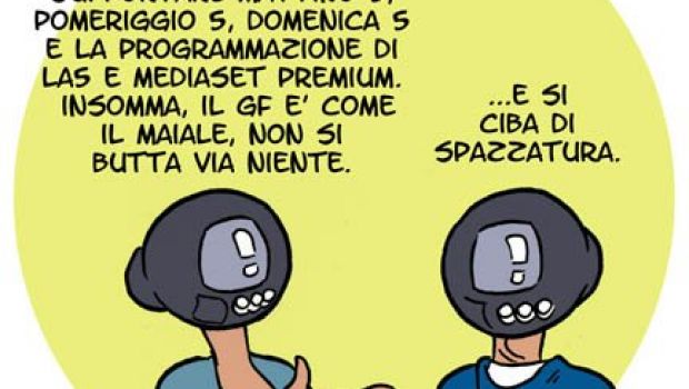 Il Grande Fratello e i suoi mille usi
