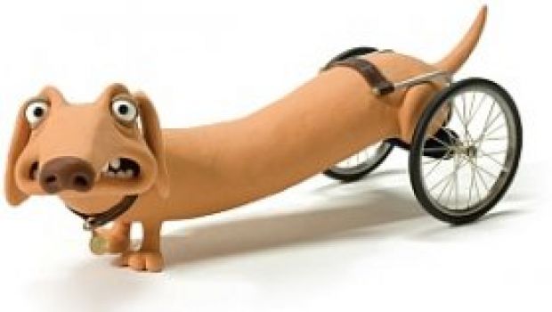 Il CercaFilm: il buffo cagnolino