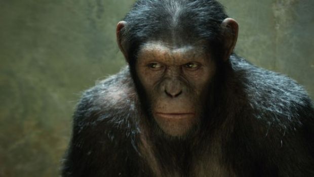 Rise of the Planet of the Apes: prime foto