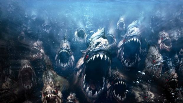 Piranha 3DD: al via la produzione