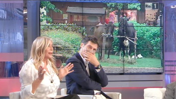 La vita in diretta: ultima puntata 2010/2011
