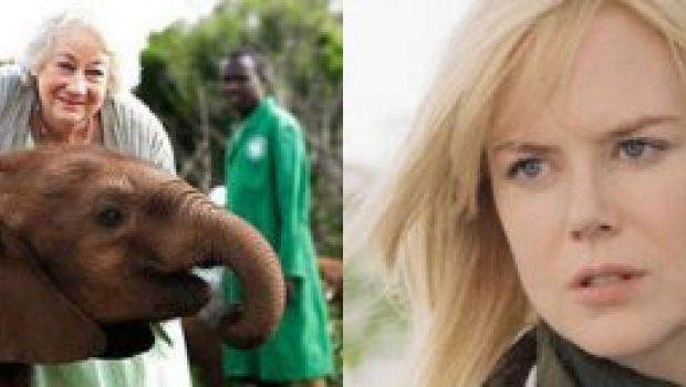 Nicole Kidman diventa Daphne Sheldrick nel film Our Wild Life?