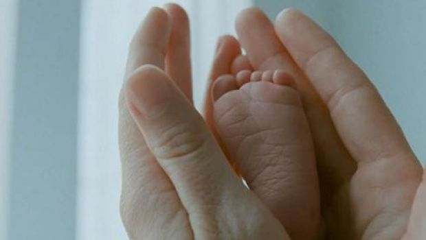 La semplicità della complessità – Appunti più o meno ordinati su The Tree of Life di Terrence Malick